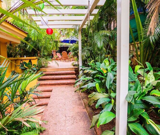 膳宿费 Bougainvillea Guest House