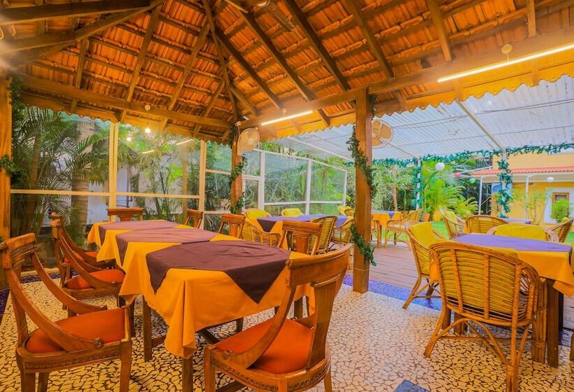 膳宿费 Bougainvillea Guest House