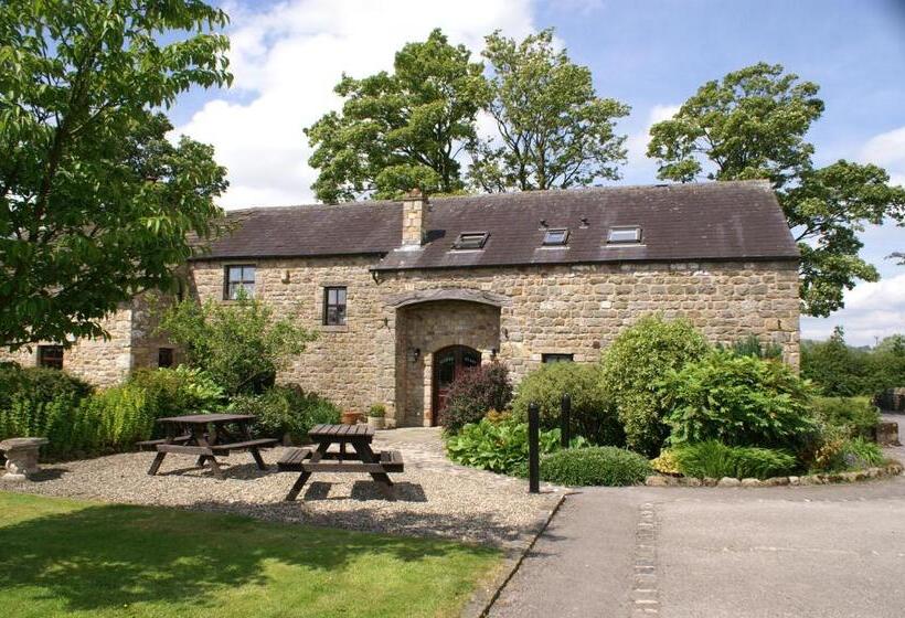 ペンション Middle Flass Lodge