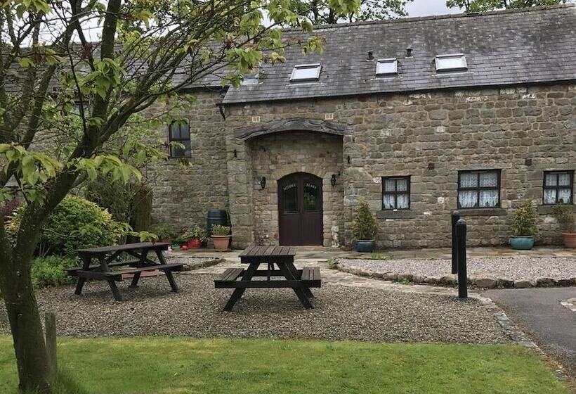 ペンション Middle Flass Lodge