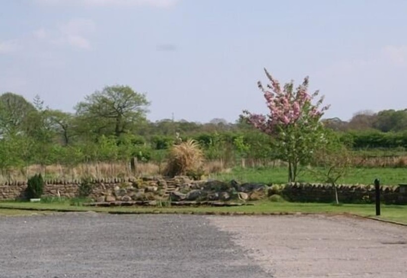 ペンション Middle Flass Lodge