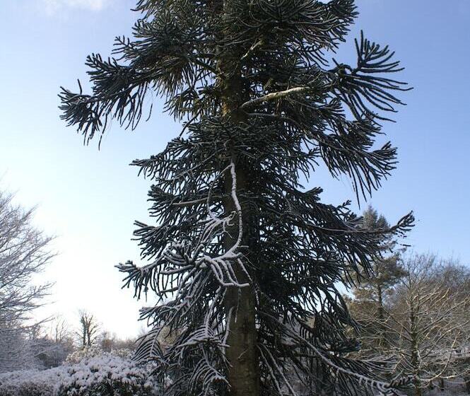 بنسيون Moorlands