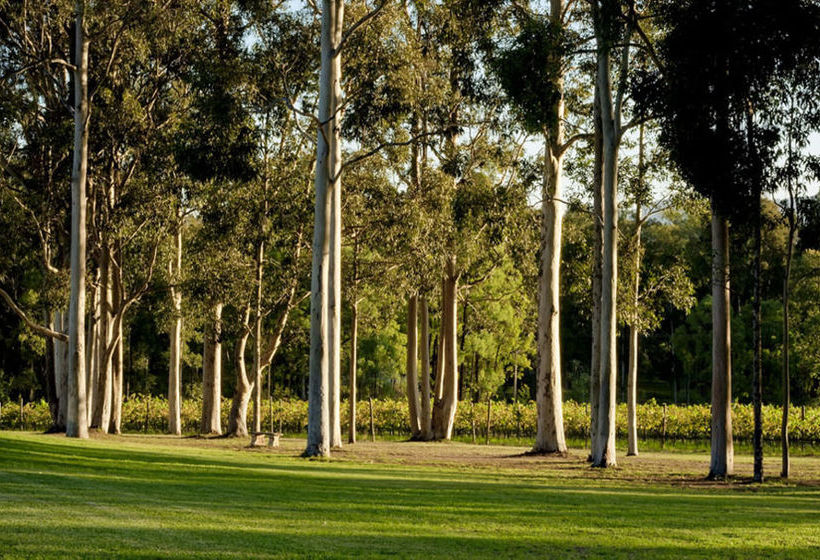 بنسيون Pokolbin Country House