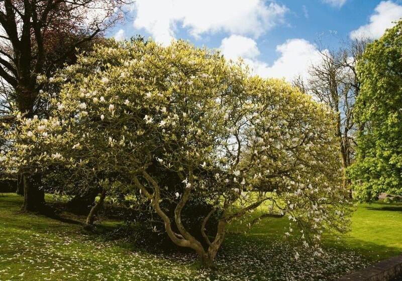 פנסיון Portclew House