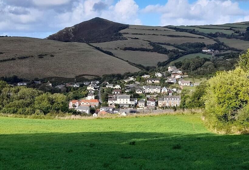 پانسیون Saffron House