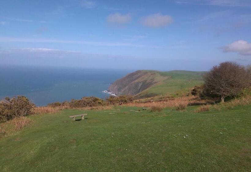 پانسیون Saffron House