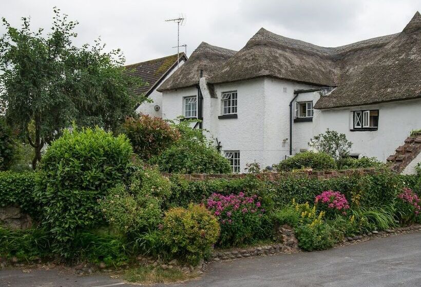 ペンション Southern Cross Guest House