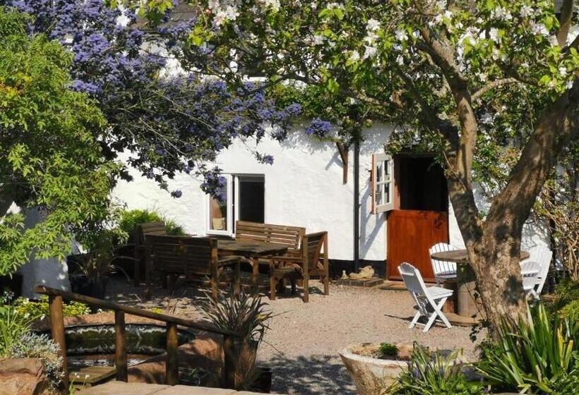 بنسيون Steps Farmhouse B&b