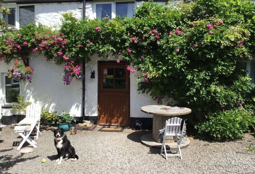 بنسيون Steps Farmhouse B&b