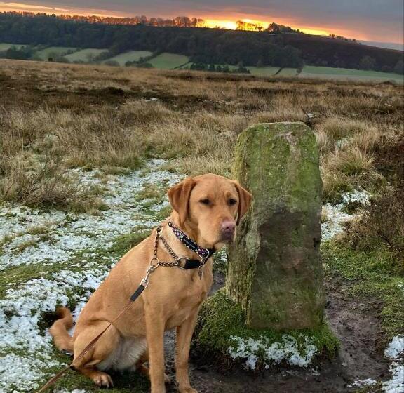 膳宿费 The Barn Guest House And Tearoom
