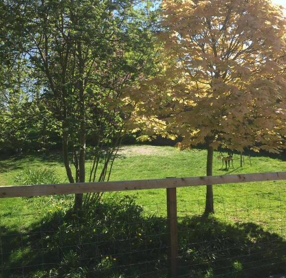 פנסיון The Barn Guest House And Tearoom