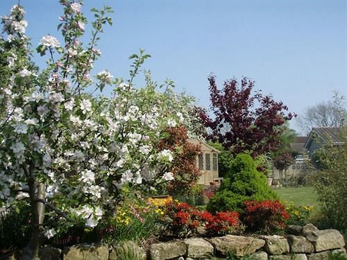 بنسيون Throapham House