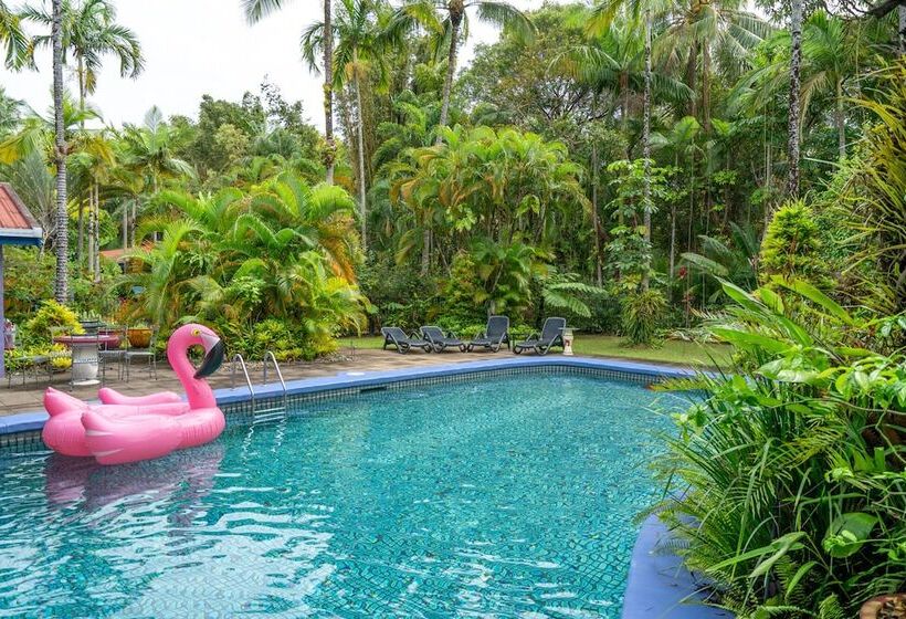 Pink Flamingo Resort