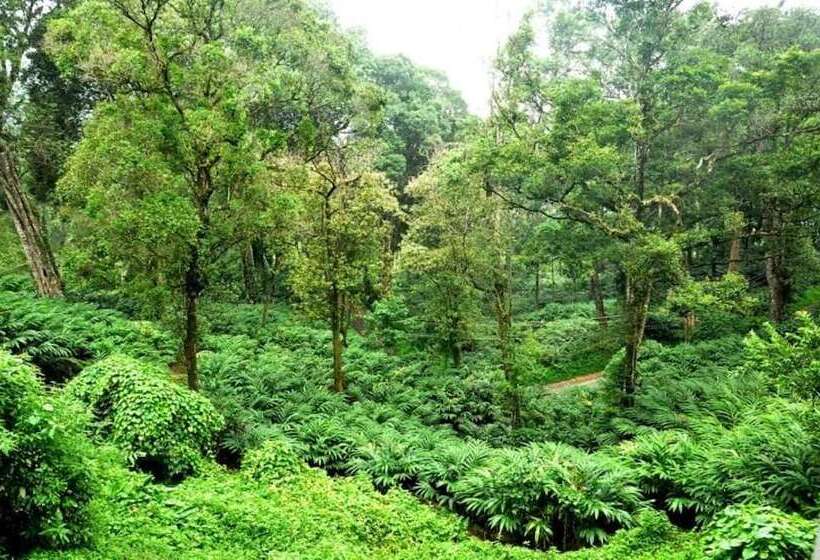リゾートホテル The Tall Trees Munnar