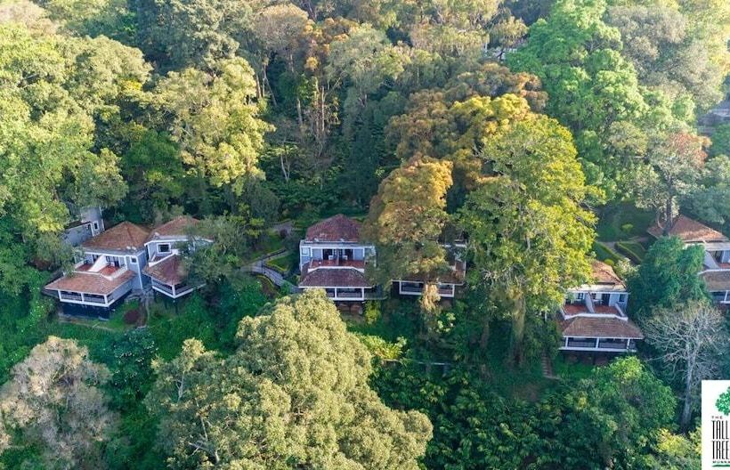 リゾートホテル The Tall Trees Munnar