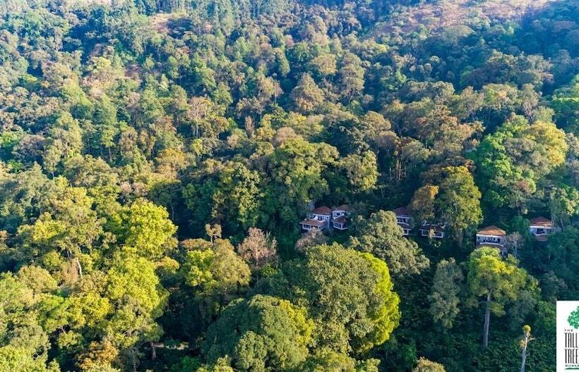 リゾートホテル The Tall Trees Munnar