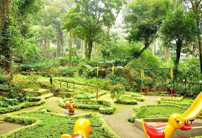 リゾートホテル The Tall Trees Munnar