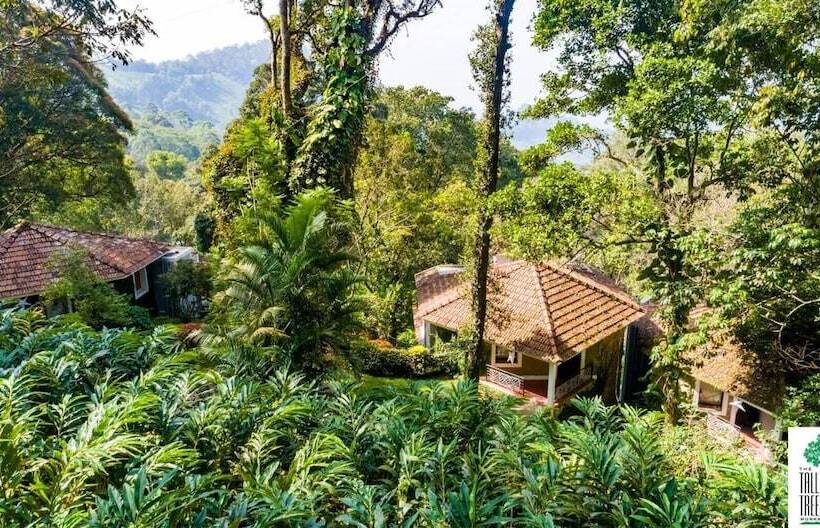 リゾートホテル The Tall Trees Munnar