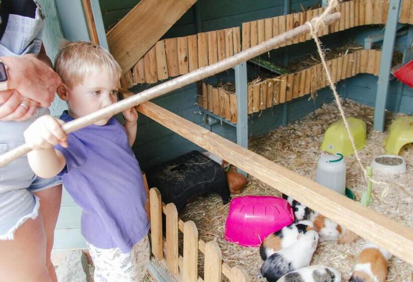 Stonehenge Hostel   Yha Affliated
