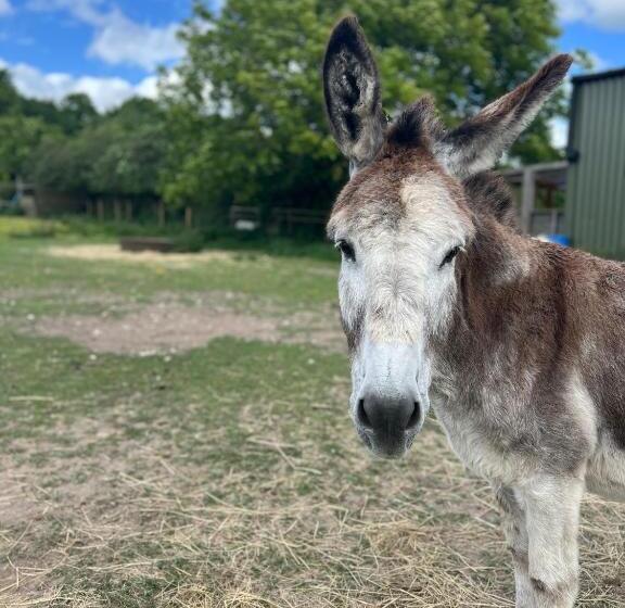 Stonehenge Hostel   Yha Affliated