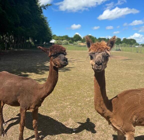Stonehenge Hostel   Yha Affliated