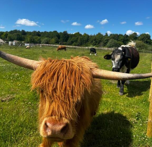 Stonehenge Hostel   Yha Affliated