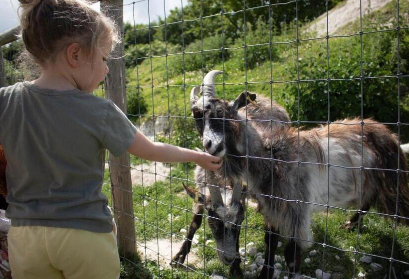 Stonehenge Hostel   Yha Affliated
