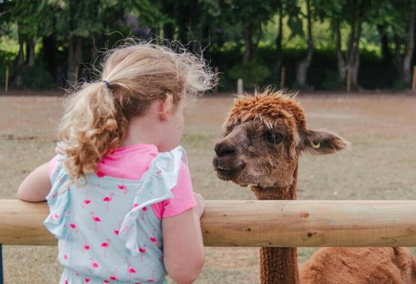 Stonehenge Hostel   Yha Affliated