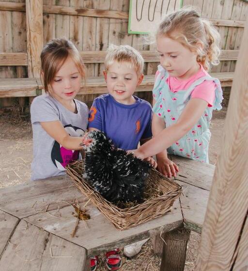 Stonehenge Hostel   Yha Affliated