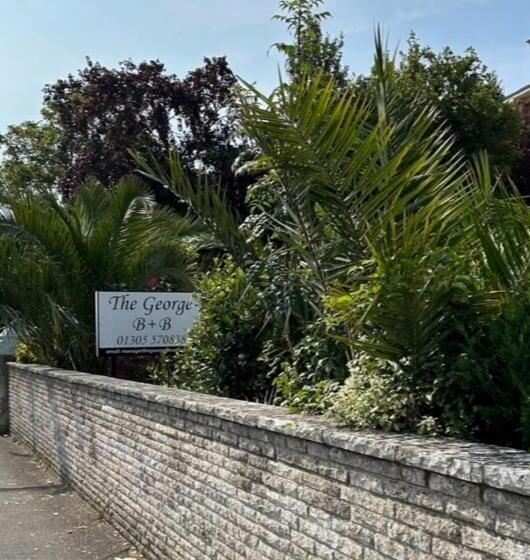 The George B&b