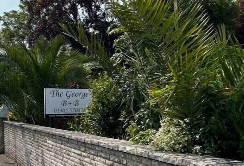 The George B&b