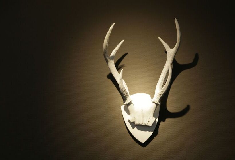 The Ridge Hotel & Apartments