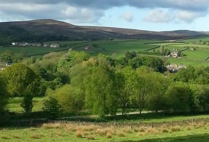 The Waltzing Weasel B&b