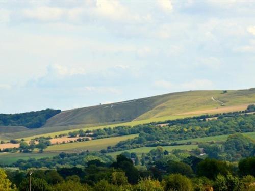 The White Horse View B&b