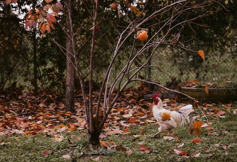 Acetaia Malagoli Daniele E B&b