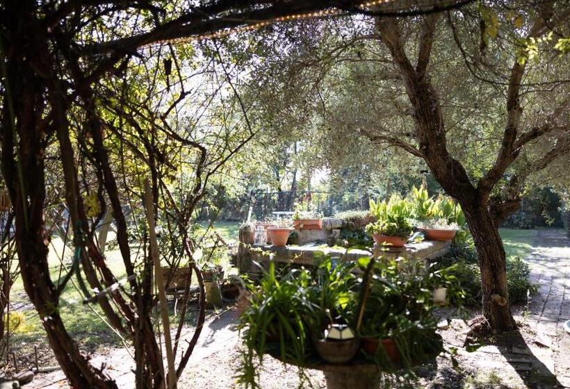 Acetaia Malagoli Daniele E B&b