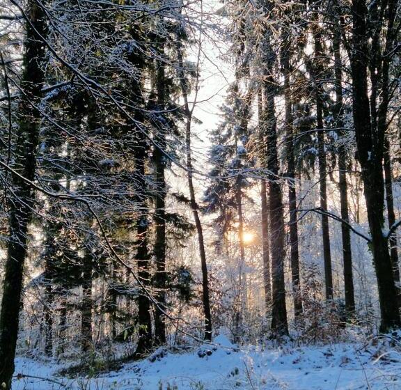 הוסטל Villa Kunterbunt