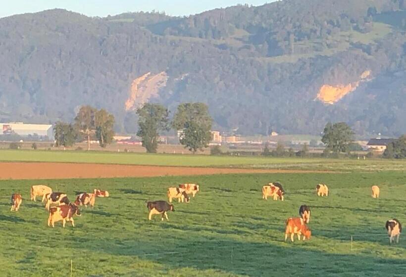 הוסטל Villa Kunterbunt