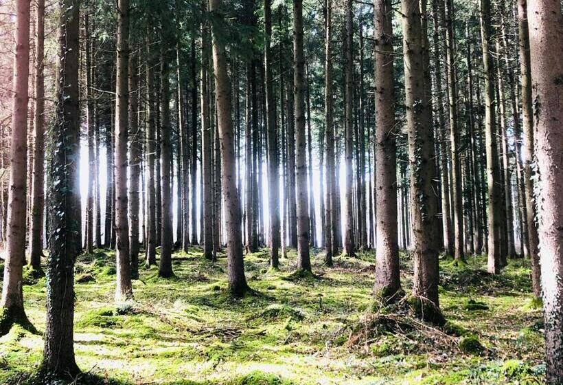 הוסטל Villa Kunterbunt