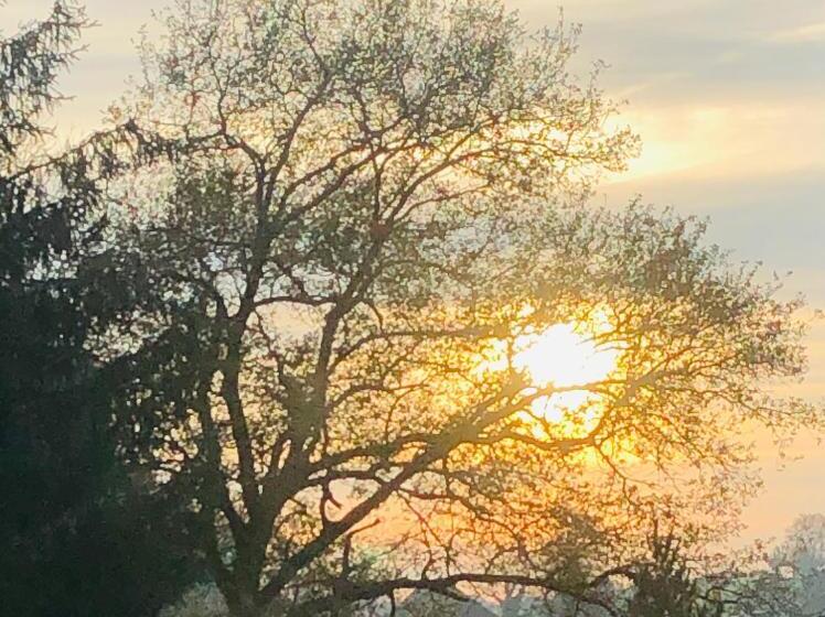 הוסטל Villa Kunterbunt