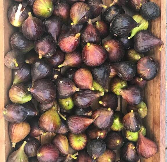 B&b De Charme à 10 Minutes De Vannes