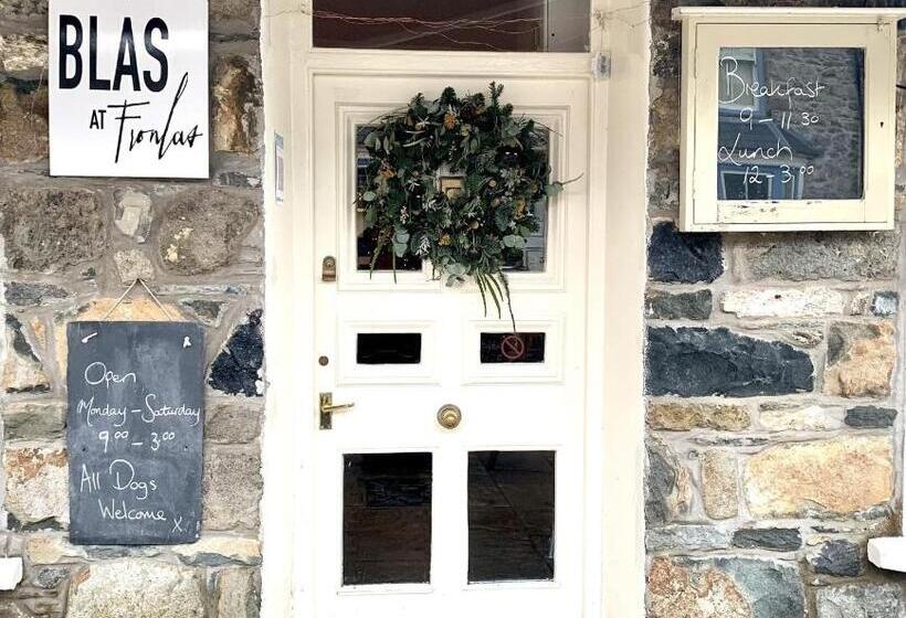 تختخواب و صبحانه Blas At Fronlas Café   The Heart Of Newport