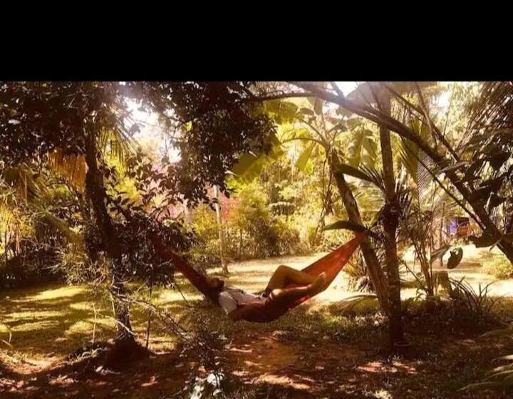 민박 House Colonial