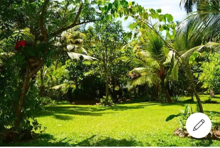 민박 House Colonial