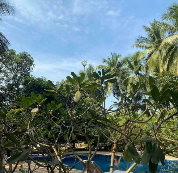 مبيت وإفطار Kawale S Palms & Retreat