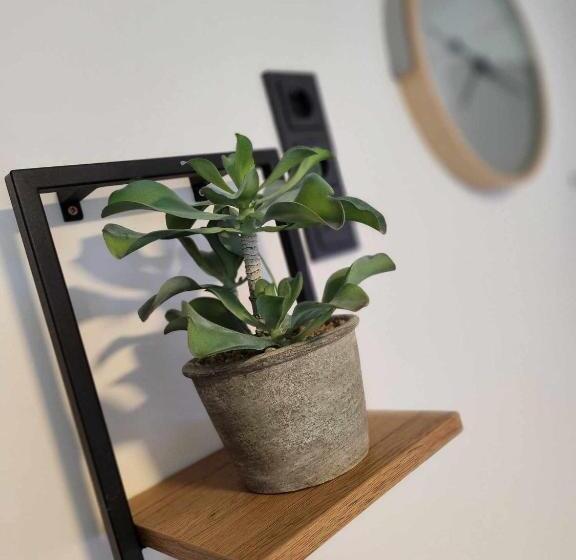 مبيت وإفطار Leni S Mountain Appartements