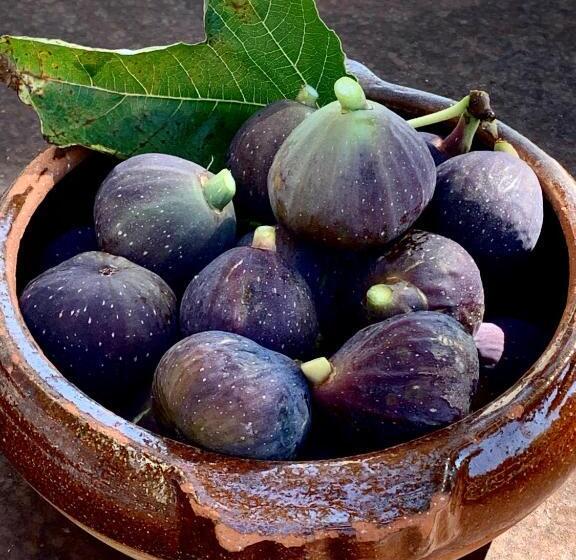 민박 Les Jardins De Sitaara