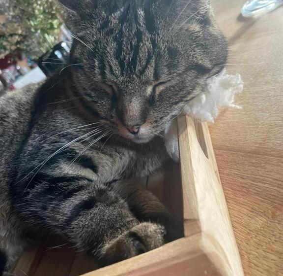 Bed and Breakfast Maison D Hôtes Des Mondfänger