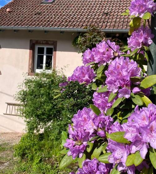 Bed and Breakfast Maison D Hôtes Des Mondfänger