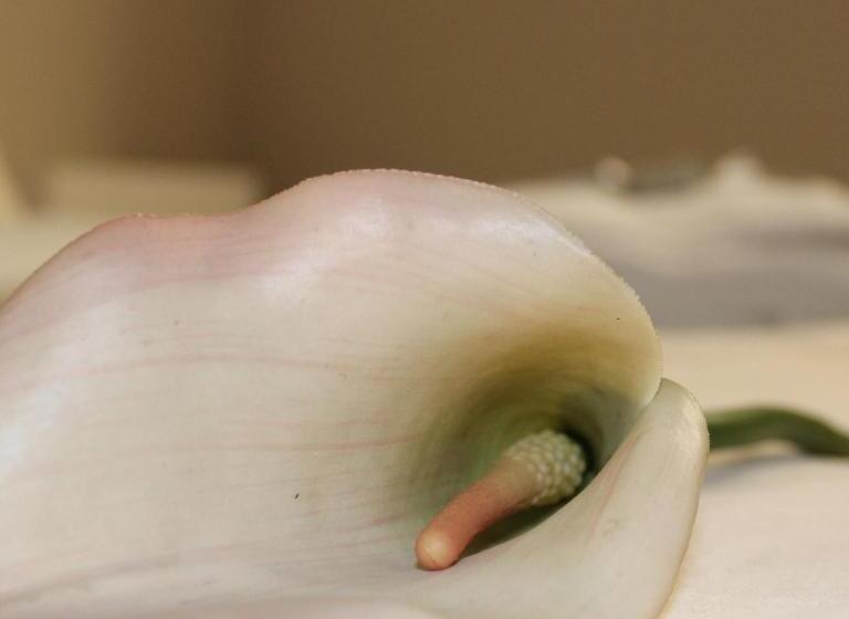 住宿加早餐  Room 369